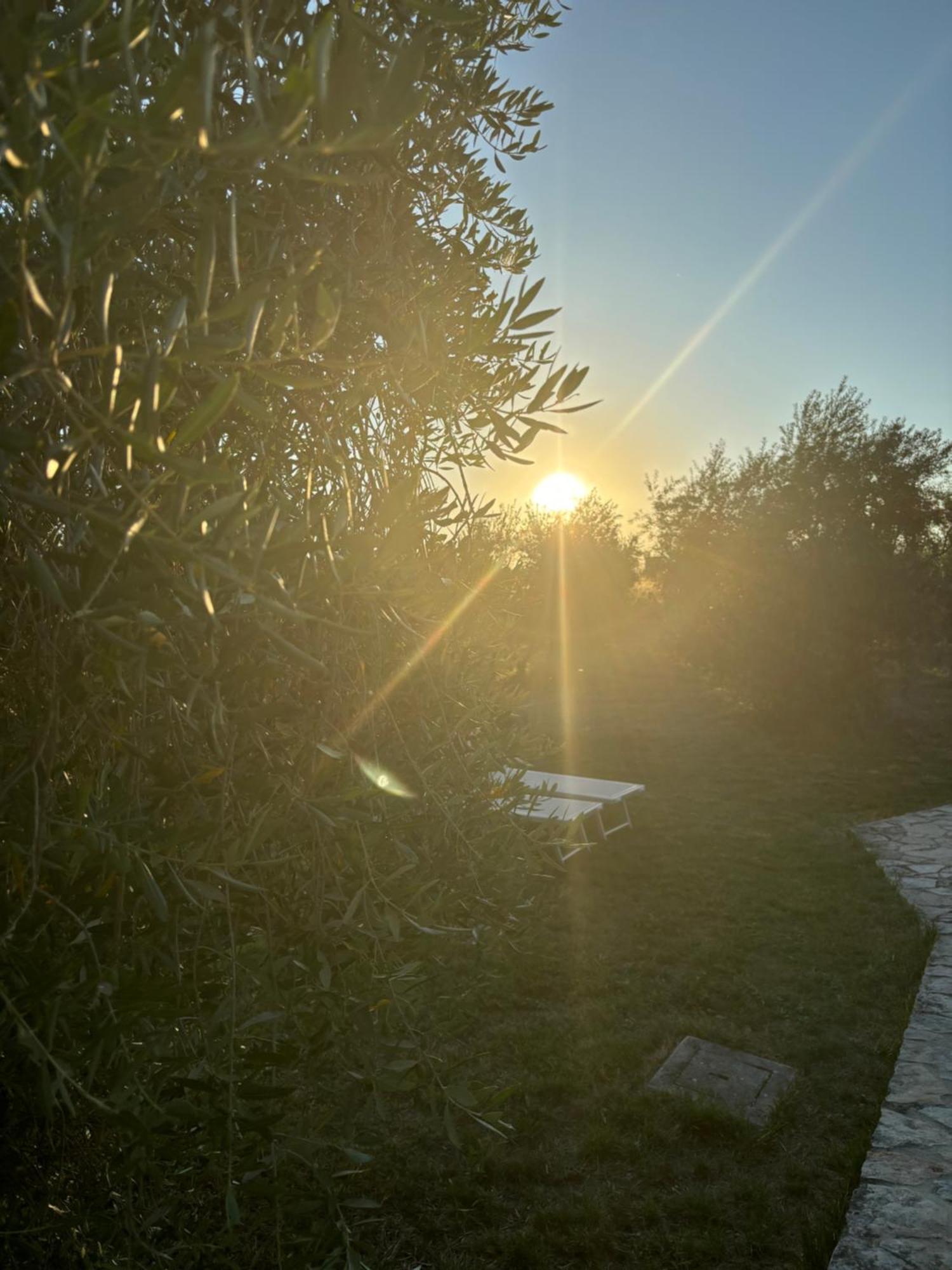 Agriturismo La Locandiera Montemerano Exterior photo